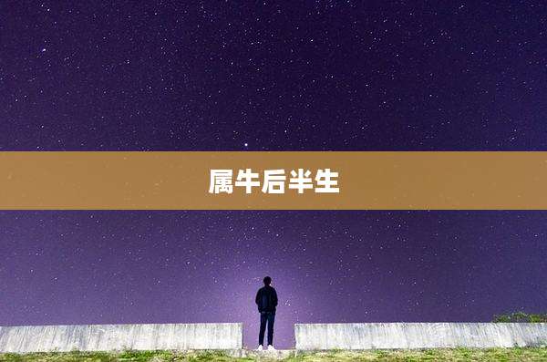 属牛后半生