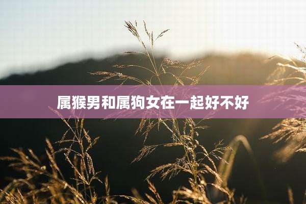 属猴男和属狗女在一起好不好