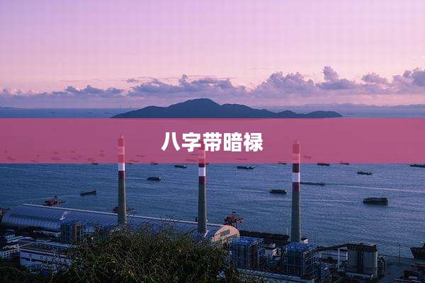 八字带暗禄