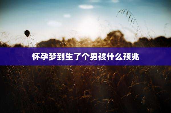 怀孕梦到生了个男孩什么预兆