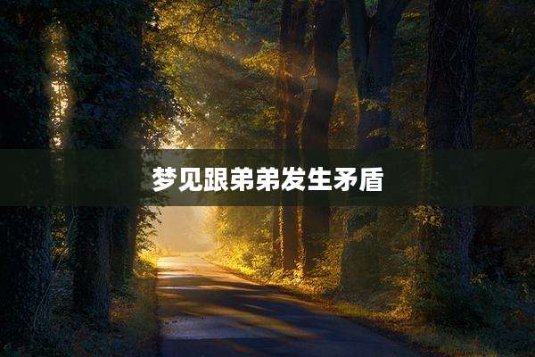 梦见跟弟弟发生矛盾