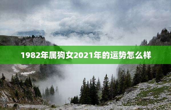 1982年属狗女2021年的运势怎么样