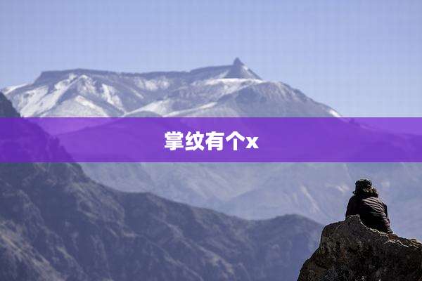 掌纹有个x