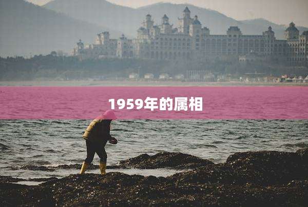 1959年的属相