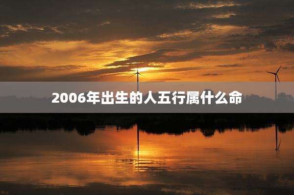 2006年出生的人五行属什么命