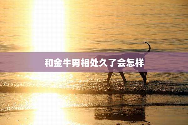 和金牛男相处久了会怎样