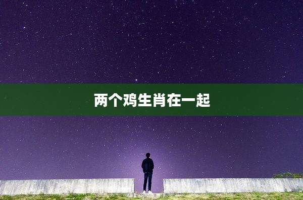 两个鸡生肖在一起