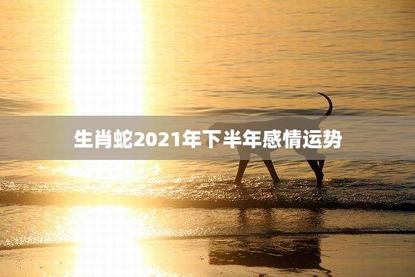 生肖蛇2021年下半年感情运势