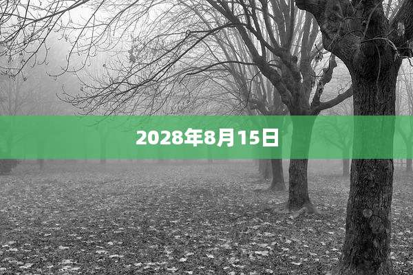 2028年8月15日