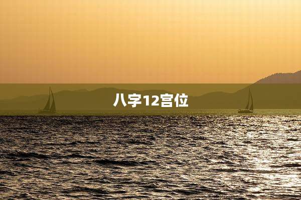 八字12宫位