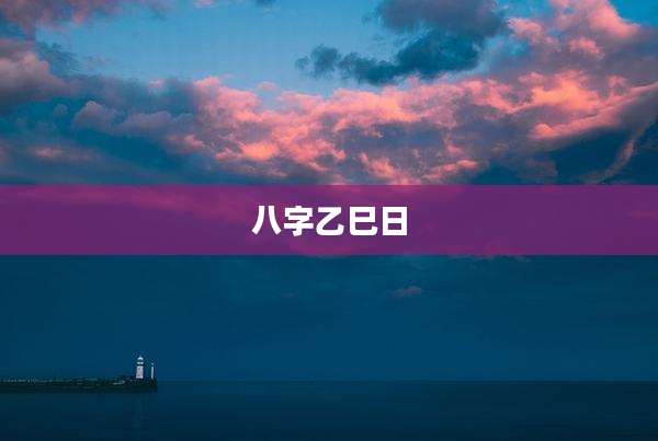八字乙巳日