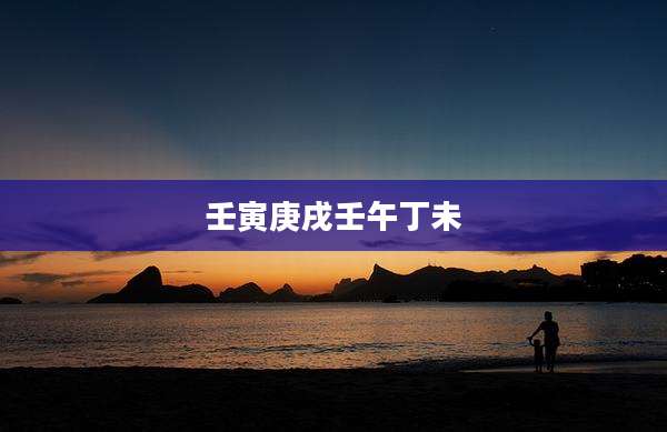 壬寅庚戌壬午丁未