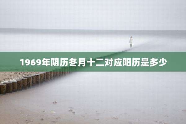 1969年阴历冬月十二对应阳历是多少