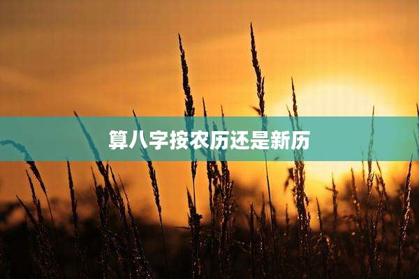 算八字按农历还是新历