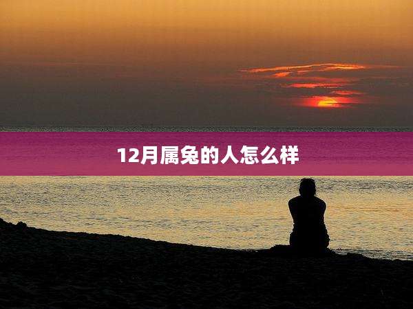 12月属兔的人怎么样