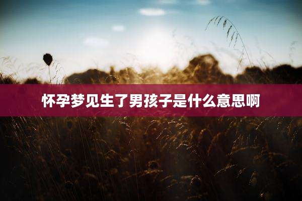 怀孕梦见生了男孩子是什么意思啊