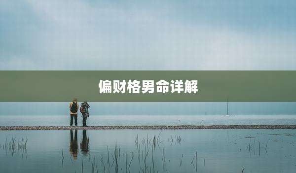 偏财格男命详解
