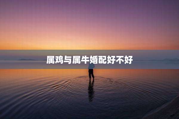 属鸡与属牛婚配好不好