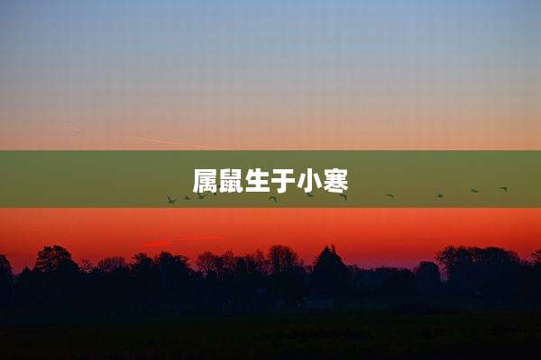 属鼠生于小寒