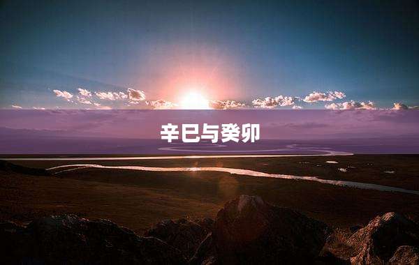 辛巳与癸卯