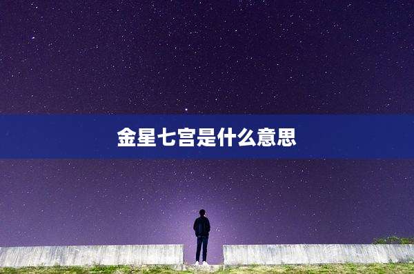 金星七宫是什么意思
