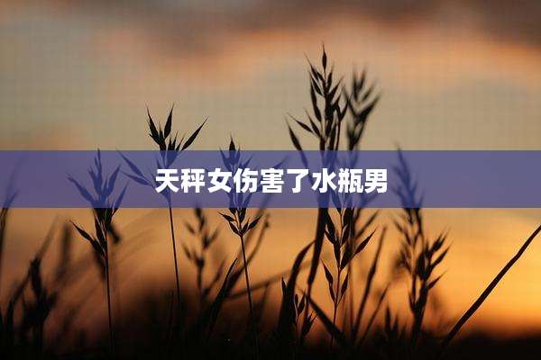 天秤女伤害了水瓶男