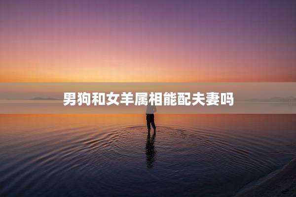 男狗和女羊属相能配夫妻吗