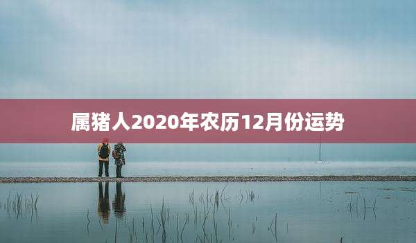 属猪人2020年农历12月份运势