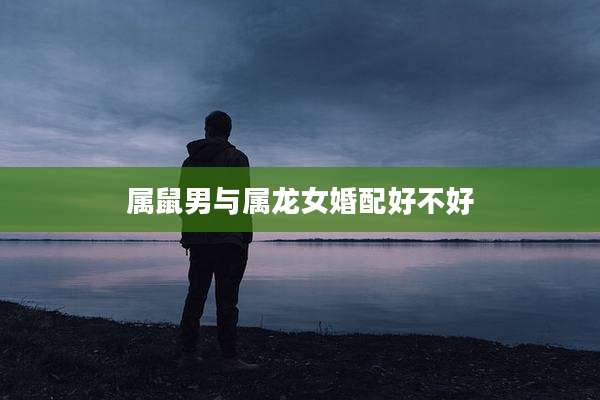 属鼠男与属龙女婚配好不好