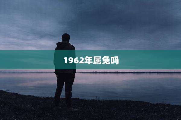 1962年属兔吗