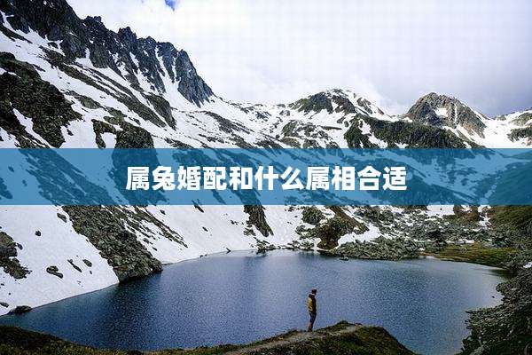 属兔婚配和什么属相合适