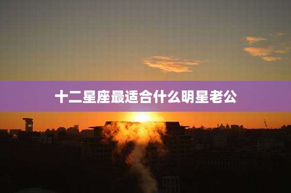 十二星座最适合什么明星老公