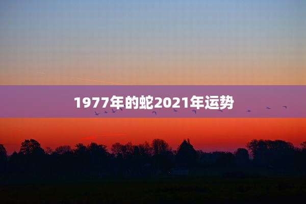 1977年的蛇2021年运势