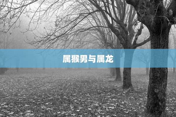 属猴男与属龙