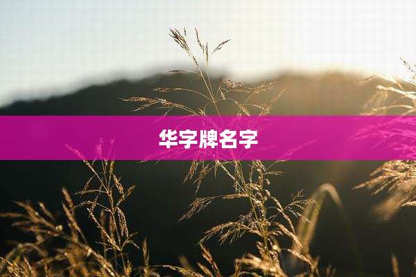 华字牌名字