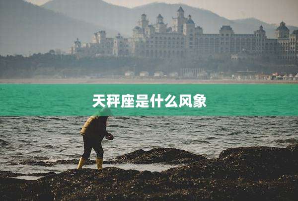 天秤座是什么风象
