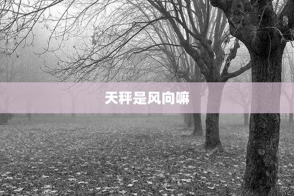 天秤是风向嘛
