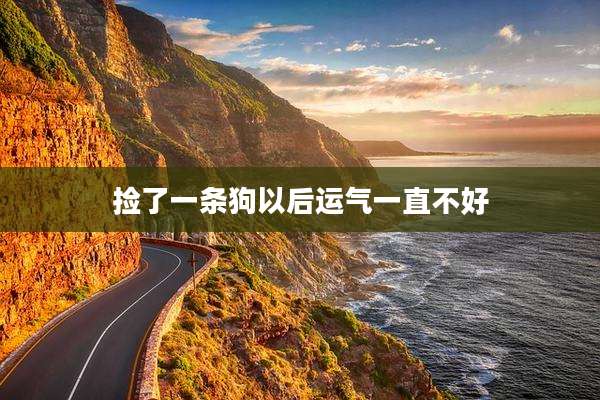 捡了一条狗以后运气一直不好