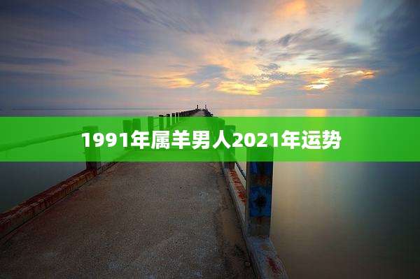 1991年属羊男人2021年运势