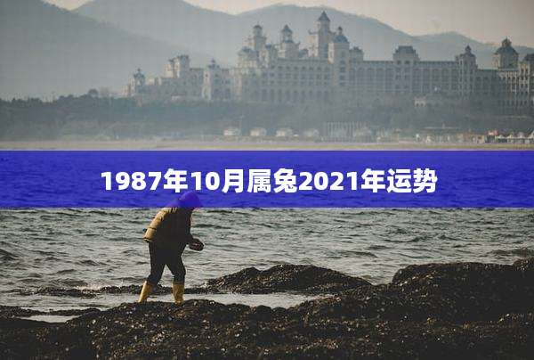 1987年10月属兔2021年运势