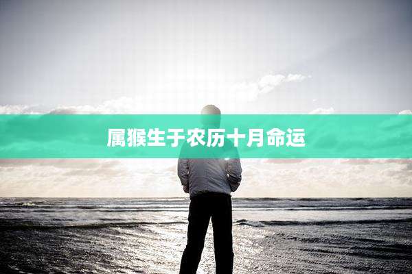 属猴生于农历十月命运