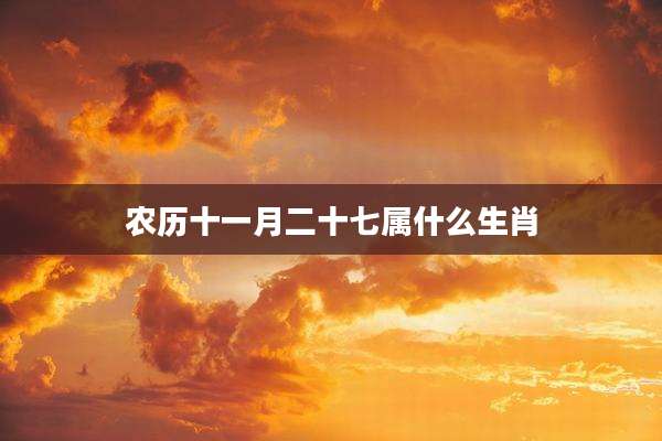 农历十一月二十七属什么生肖