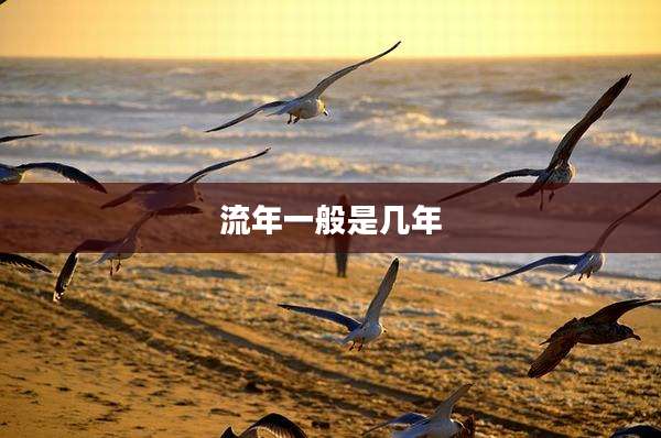 流年一般是几年