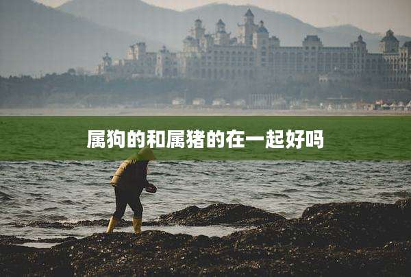 属狗的和属猪的在一起好吗