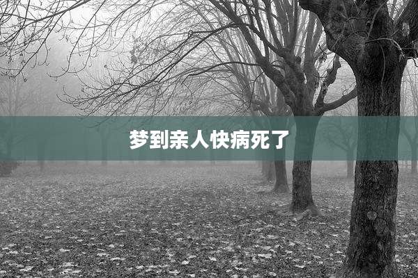 梦到亲人快病死了