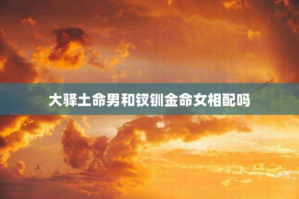 大驿土命男和钗钏金命女相配吗
