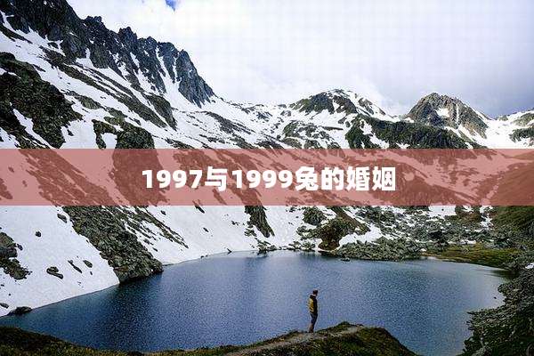 1997与1999兔的婚姻