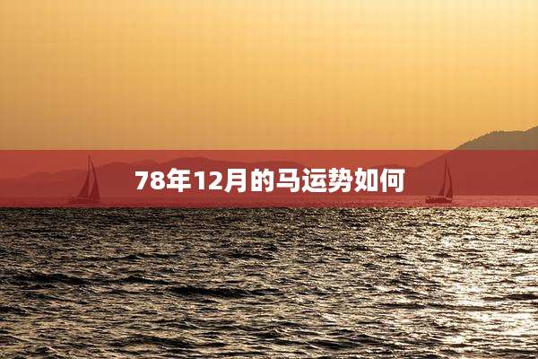 78年12月的马运势如何