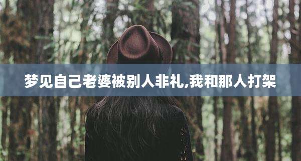 梦见自己老婆被别人非礼,我和那人打架