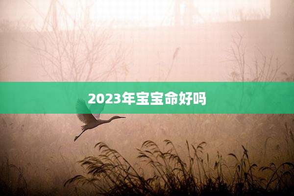 2023年宝宝命好吗